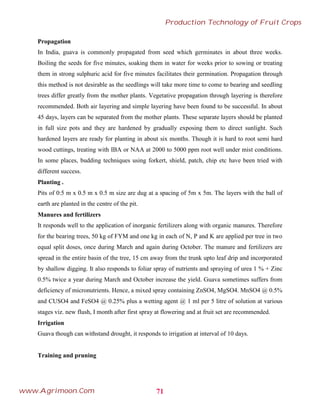 Propagation
In India, guava is commonly propagated from seed which germinates in about three weeks.
Boiling the seeds for five minutes, soaking them in water for weeks prior to sowing or treating
them in strong sulphuric acid for five minutes facilitates their germination. Propagation through
this method is not desirable as the seedlings will take more time to come to bearing and seedling
trees differ greatly from the mother plants. Vegetative propagation through layering is therefore
recommended. Both air layering and simple layering have been found to be successful. In about
45 days, layers can be separated from the mother plants. These separate layers should be planted
in full size pots and they are hardened by gradually exposing them to direct sunlight. Such
hardened layers are ready for planting in about six months. Though it is hard to root semi hard
wood cuttings, treating with IBA or NAA at 2000 to 5000 ppm root well under mist conditions.
In some places, budding techniques using forkert, shield, patch, chip etc have been tried with
different success.
Planting .
Pits of 0:5 m x 0.5 m x 0.5 m size are dug at a spacing of 5m x 5m. The layers with the ball of
earth are planted in the centre of the pit.
Manures and fertilizers
It responds well to the application of inorganic fertilizers along with organic manures. Therefore
for the bearing trees, 50 kg of FYM and one kg in each of N, P and K are applied per tree in two
equal split doses, once during March and again during October. The manure and fertilizers are
spread in the entire basin of the tree, 15 cm away from the trunk upto leaf drip and incorporated
by shallow digging. It also responds to foliar spray of nutrients and spraying of urea 1 % + Zinc
0.5% twice a year during March and October increase the yield. Guava sometimes suffers from
deficiency of micronutrients. Hence, a mixed spray containing ZnSO4, MgSO4. MnSO4 @ 0.5%
and CUSO4 and FeSO4 @ 0.25% plus a wetting agent @ 1 ml per 5 litre of solution at various
stages viz. new flush, I month after first spray at flowering and at fruit set are recommended.
Irrigation
Guava though can withstand drought, it responds to irrigation at interval of 10 days.
Training and pruning
71
Production Technology of Fruit Crops
www.Agrimoon.Com
 