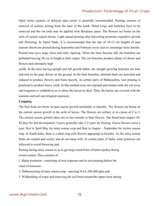 Open centre systems or delayed open centre is generally recommended. Pruning consists of
removal of suckers arising from the base of the trunk. Dried twigs and branches have to be
removed and the cut ends may be applied with Bordeaux paste. The flowers are borne on the
axils of current season shoots. Light annual pruning after harvesting promotes vegetative growth
and flowering. In Tamil Nadu, it is recommended that the tips of 10-12 cm lengths of past
seasons shoots are pruned during September and February every year to encourage more laterals.
Pruned trees give large fruits and early ripening. When the trees become old, the branches are
pollarded leaving 30 cm in length at their origin. The cut branches produce plenty of shoots and
flowers and ultimately high
yields. In the trees having upright and tall growth habits, the straight growing branches are bent
and tied on the pegs driven on the ground. In the bent branches, dormant buds are activated and
induced to produce flowers and fruits heavily. In certain parts of Maharashtra, root pruning is
practiced to produce heavy yield. In this method roots are exposed and minute roots are cut away
and irrigation is withheld so as to allow the leaves to shed. Then, the basins are covered with the
manures and soil and irrigated copiously.
Cropping
The fruit buds are borne on past season growth terminally or laterally. The flowers are borne on
the current season growth in the axils of leaves. The flowers are solitary or in cymes of 2 to 3.
The current season growth takes one or two months to bear flowers. The floral buds require 38-
42 days for full development. Layers generally take 2-3 years for fruiting. Guava flowers twice a
year, first in April-May for rainy season crop and then in August – September for wiriter season
crop. In South India, there is a third crop with flowers appearing in October. As the rainy season
fruits are insipid and watery and do not keep well. In certain parts of India, some practices are
followed to avoid flowering and
fruiting during rainy season so as to get large sized fruits of better quality during
winter season. They consists of
1. Bahar treatment - consisting of root exposure and or root pruning before the
onset of monsoon.
2. Deblossoming of rainy season crop - spraying NAA 200-400 ppm and
3. Withholding of water and removing the soil from around the upper roots during
72
Production Technology of Fruit Crops
www.Agrimoon.Com
 
