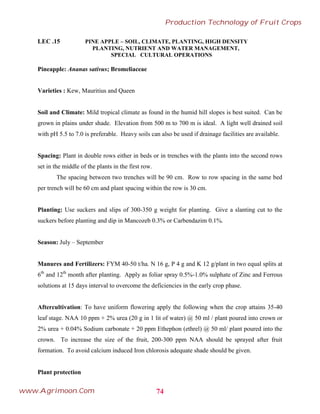 LEC .15 PINE APPLE – SOIL, CLIMATE, PLANTING, HIGH DENSITY
PLANTING, NUTRIENT AND WATER MANAGEMENT,
SPECIAL CULTURAL OPERATIONS
Pineapple: Ananas sativus; Bromeliaceae
Varieties : Kew, Mauritius and Queen
Soil and Climate: Mild tropical climate as found in the humid hill slopes is best suited. Can be
grown in plains under shade. Elevation from 500 m to 700 m is ideal. A light well drained soil
with pH 5.5 to 7.0 is preferable. Heavy soils can also be used if drainage facilities are available.
Spacing: Plant in double rows either in beds or in trenches with the plants into the second rows
set in the middle of the plants in the first row.
The spacing between two trenches will be 90 cm. Row to row spacing in the same bed
per trench will be 60 cm and plant spacing within the row is 30 cm.
Planting: Use suckers and slips of 300-350 g weight for planting. Give a slanting cut to the
suckers before planting and dip in Mancozeb 0.3% or Carbendazim 0.1%.
Season: July – September
Manures and Fertilizers: FYM 40-50 t/ha. N 16 g, P 4 g and K 12 g/plant in two equal splits at
6th
and 12th
month after planting. Apply as foliar spray 0.5%-1.0% sulphate of Zinc and Ferrous
solutions at 15 days interval to overcome the deficiencies in the early crop phase.
Aftercultivation: To have uniform flowering apply the following when the crop attains 35-40
leaf stage. NAA 10 ppm + 2% urea (20 g in 1 lit of water) @ 50 ml / plant poured into crown or
2% urea + 0.04% Sodium carbonate + 20 ppm Ethephon (ethrel) @ 50 ml/ plant poured into the
crown. To increase the size of the fruit, 200-300 ppm NAA should be sprayed after fruit
formation. To avoid calcium induced Iron chlorosis adequate shade should be given.
Plant protection
74
Production Technology of Fruit Crops
www.Agrimoon.Com
 