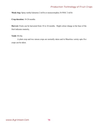 Mealy bug: Spray methyl demeton 2 ml/lit or monocrotophos 36 WSC 2 ml/lit
Crop duration: 18-24 months
Harvest: Fruits can be harvested from 18 to 24 months. Slight colour change at the base of the
fruit indicates maturity.
Yield: 50 t/ha
A plant crop and two ratoon crops are normally taken and in Mauritius variety upto five
crops can be taken.
75
Production Technology of Fruit Crops
www.Agrimoon.Com
 