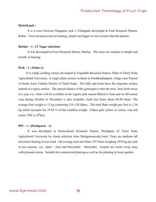 Hybrid jack :
It is a cross between Singapore jack x Veliappala developed at Fruit Research Station,
Kallar. Trees are precocious in bearing; carpels are bigger in size sweeter than the parents.
Burliar – 1 : (T Nagar selection)
It was developed at Fruit Research Station, Burliar. The trees are medium in height and
prolific in bearing.
PLR – 1 : (Palur-1)
It is a high yielding variety developed at Vegetable Research Station, Palur of Tamil Nadu
Agricultural University. A single plant section isolated in Panikkankuppam village near Panruti
of South Arcot Vallalar District of Tamil Nadu. The fully ripe fruits have flat stigmatic surface
instead of a spiny surface. The special feature of this genotypes is that the trees bear fruits twice
in a year viz., fruits will be available in the regular jack season March to June and an off season
crop during October to December is also available. Each tree bears about 60-80 fruits. The
average fruit weight is 12 kg containing 115-120 flakes. The total flake weight per fruit is 2.36
kg which accounts for 19.68 % of the totalfruit weight. Flakes pale yellow in colour, crip and
sweet; TSS is 190
brix.
PPI – 1 : (Pechiparai – 1)
It was developed at Horticultural Research Station, Pechiparai of Tamil Nadu
Agricultural University by clonal selection from Mulagummoodu local. Trees are medium tall
maximum bearing in tree truck. On average each tree bears 107 fruits weighing 1818 kg per year
in two seasons, viz., April – June and November – December. Carpels are sweet, crisp, tasty
with pleasant aroma. Suitable for commercial planting as well as for planting in home garden.
78
Production Technology of Fruit Crops
www.Agrimoon.Com
 