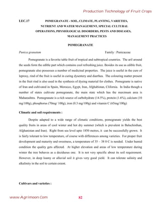 LEC.17 POMEGRANATE - SOIL, CLIMATE, PLANTING, VARIETIES,
NUTRIENT AND WATER MANAGEMENT, SPECIAL CULTURAL
OPERATIONS, PHYSIOLOGICAL DISORDERS, PESTS AND DISEASES,
MANAGEMENT PRACTICES
POMEGRANATE
Punica granatum Family : Punicaceae
Pomegranate is a favorite table fruit of tropical and subtropical countries. The aril around
the seeds form the edible part which contains cool refreshing juice. Besides its use as edible fruit,
pomegranate also possesses a number of medicinal properties. The juice is useful in the cure of
leprosy, rind of the fruit is useful in curing dysentery and diarrhea. The colouring matter present
in the fruit rind is also used in the synthesis of dyeing material for clothes. Pomegrante is native
of Iran and cultivated in Spain, Morocco, Egypt, Iran, Afghabistan, Clifornia. In India though a
number of states cultivate pomegranate, the main state which has the maximum area is
Maharashtra. Pomegranate is a rich source of carbohydrate (14.5%), protein (1.6%), calcium (10
mg/100g), phosphorus (70mg/ 100g), iron (0.3 mg/100g) and vitamin C (65mg/100g)
Climatic and soil requirements :
Despite adapted to a wide range of climatic conditions, pomegranate yields the best
quality fruits in areas of cool winter and hot dry summer (which is prevalent in Baluchisthan,
Afghanistan and Iran). Right from sea level upto 1850 metres, it can be successfully grown. It
is fairly tolerant to low temperature, of course with differences among varieties. For proper fruit
development and maturity and sweetness, a temperature of 35 – 38 0 C is needed. Under humid
condition the quality gets affected. At higher elevation and areas of low temperature during
winter the tree behaves as a deciduous one. It is not very specific about its soil requirement.
However, in deep loamy or alluvial soil it gives very good yield. It can tolerate salinity and
alkalinity in the soil to certain extent.
Cultivars and varieties :
82
Production Technology of Fruit Crops
www.Agrimoon.Com
 