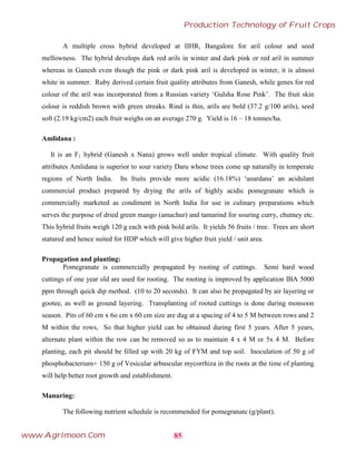 A multiple cross hybrid developed at IIHR, Bangalore for aril colour and seed
mellowness. The hybrid develops dark red arils in winter and dark pink or red aril in summer
whereas in Ganesh even though the pink or dark pink aril is developed in winter, it is almost
white in summer. Ruby derived certain fruit quality attributes from Ganesh, while genes for red
colour of the aril was incorporated from a Russian variety ‘Gulsha Rose Pink’. The fruit skin
colour is reddish brown with green streaks. Rind is thin, arils are bold (37.2 g/100 arils), seed
soft (2.19 kg/cm2) each fruit weighs on an average 270 g. Yield is 16 – 18 tonnes/ha.
Amlidana :
It is an F1 hybrid (Ganesh x Nana) grows well under tropical climate. With quality fruit
attributes Amlidana is superior to sour variety Daru whose trees come up naturally in temperate
regions of North India. Its fruits provide more acidic (16.18%) ‘anardana’ an acidulant
commercial product prepared by drying the arils of highly acidic pomegranate which is
commercially marketed as condiment in North India for use in culinary preparations which
serves the purpose of dried green mango (amachur) and tamarind for souring curry, chutney etc.
This hybrid fruits weigh 120 g each with pink bold arils. It yields 56 fruits / tree. Trees are short
statured and hence suited for HDP which will give higher fruit yield / unit area.
Propagation and planting:
Pomegranate is commercially propagated by rooting of cuttings. Semi hard wood
cuttings of one year old are used for rooting. The rooting is improved by application IBA 5000
ppm through quick dip method. (10 to 20 seconds). It can also be propagated by air layering or
gootee, as well as ground layering. Transplanting of rooted cuttings is done during monsoon
season. Pits of 60 cm x 6o cm x 60 cm size are dug at a spacing of 4 to 5 M between rows and 2
M within the rows, So that higher yield can be obtained during first 5 years. After 5 years,
alternate plant within the row can be removed so as to maintain 4 x 4 M or 5x 4 M. Before
planting, each pit should be filled up with 20 kg of FYM and top soil. Inoculation of 50 g of
phosphobacterium+ 150 g of Vesicular arbuscular mycorrhiza in the roots at the time of planting
will help better root growth and establishment.
Manuring:
The following nutrient schedule is recommended for pomegranate (g/plant).
85
Production Technology of Fruit Crops
www.Agrimoon.Com
 