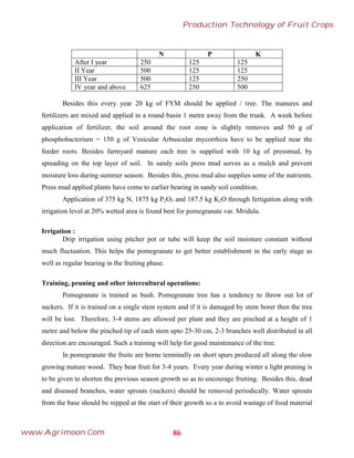 N P K
After I year 250 125 125
II Year 500 125 125
III Year 500 125 250
IV year and above 625 250 500
Besides this every year 20 kg of FYM should be applied / tree. The manures and
fertilizers are mixed and applied in a round basin 1 metre away from the trunk. A week before
application of fertilizer, the soil around the root zone is slightly removes and 50 g of
phosphobacterium = 150 g of Vesicular Arbuscular mycorrhiza have to be applied near the
feeder roots. Besides farmyard manure each tree is supplied with 10 kg of pressmud, by
spreading on the top layer of soil. In sandy soils press mud serves as a mulch and prevent
moisture loss during summer season. Besides this, press mud also supplies some of the nutrients.
Press mud applied plants have come to earlier bearing in sandy soil condition.
Application of 375 kg N, 1875 kg P2O5 and 187.5 kg K2O through fertigation along with
irrigation level at 20% wetted area is found best for pomegranate var. Mridula.
Irrigation :
Drip irrigation using pitcher pot or tube will keep the soil moisture constant without
much fluctuation. This helps the pomegranate to get better establishment in the early stage as
well as regular bearing in the fruiting phase.
Training, pruning and other intercultural operations:
Pomegranate is trained as bush. Pomegranate tree has a tendency to throw out lot of
suckers. If it is trained on a single stem system and if it is damaged by stem borer then the tree
will be lost. Therefore, 3-4 stems are allowed per plant and they are pinched at a height of 1
metre and below the pinched tip of each stem upto 25-30 cm, 2-3 branches well distributed in all
direction are encouraged. Such a training will help for good maintenance of the tree.
In pomegranate the fruits are borne terminally on short spurs produced all along the slow
growing mature wood. They bear fruit for 3-4 years. Every year during winter a light pruning is
to be given to shorten the previous season growth so as to encourage fruiting. Besides this, dead
and diseased branches, water sprouts (suckers) should be removed periodically. Water sprouts
from the base should be nipped at the start of their growth so a to avoid wastage of food material
86
Production Technology of Fruit Crops
www.Agrimoon.Com
 