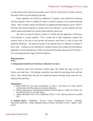 in such growth which exhaust the maximum reserve food. IF such diversion of food is allowed
then there will be very poor bearing in the trees.
Crops regulation can be done by withdrawal of irrigation water followed by manuring
and then irrigation, Water is withheld for about 2 months in advance of the normal flowering
season. After 2 months, manures and fertilizers are applied and light irrigation is given. Three to
four days later heavier irrigations at normal interval are followed. For this treatment the trees
readily respond and produce new growth, bloom and bear a good crop.
The fruits are ready for harvest in about 5-7 months after the appearance of blossoms.
Fruit cracking is a serious problem. This is mainly due to high temperature coupled with
moisture stress at the time of fruit growth and maturity some times it is due to boron and
potassium deficiency. The intensity increase if the matured fruits are subjected to drought or
heavy rains. Cracking can be controlled by avoiding moisture stress during fruit development,
application of recommended dose of 500 g of potash and bimonthly spraying of 0.25% borax =
0.1% urea during the later stages of fruit development.
Plant protection :
Pests :
1. Pomegranate butterfly (or) Fruit borer. (Deudorix isocrates)
Infestation starts from flowering to button stage. The female lays eggs on calyx of
flowers and small fruits. On hatching, caterpillars bore inside the developing fruits and feed
inside. Such infested fruits may also be invaded by bacteria and fungi which cause fruit rot.
Affected fruits fall down.
Management :
a. Spray NSKE 5% (or) neem formulations @ 2mla /1 four times at 15 days interval
commencing from flowering (as oviposition deterrent)
b. Release egg parasite, Trichogramma chilonis (Tricho-Cards) @ 1 lakh (16 to 20cc). Tie
the tricho-card (at 4 to 5cc) per release.
c. Apply endosulfan 35 EC 2 ml or dinethoate 30 EC 1.5 ml/l when the fruits are in marble
size.
2. Sucking insects : Mealybug : Ferrisia virgata, Pseudococcus lilacinus. Whitefly:
Siphonimus phyllyreae. Thrips ; Rhipiphorathrips creutatus, Retithrips syriacus. Aphids : Aphis
puniae.
87
Production Technology of Fruit Crops
www.Agrimoon.Com
 