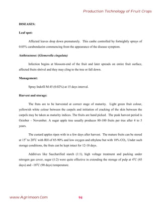 DISEASES:
Leaf spot:
Affected leaves drop down prematurely. This canbe controlled by fortnightly sprays of
0.05% carabendazim commencing from the appearance of the disease symptom.
Anthracnose: (Glomerella cingulata)
Infection begins at blossom-end of the fruit and later spreads on entire fruit surface,
affected fruits shrivel and they may cling to the tree or fall down.
Management:
Spray Indofil M.45 (0.02%) at 15 days interval.
Harvest and storage:
The fruts are to be harvested at correct stage of maturity. Light green fruit colour,
yellowish white colour between the carpels and initiation of cracking of the skin between the
carpels may be taken as maturity indices. The fruits are hand picked. The peak harvest period is
October – November. A sugar apple tree usually produces 80-100 fruits per tree after 4 to 5
years.
The custard apples ripen with in a few days after harvest. The mature fruits can be stored
at 15o
to 20o
C with RH of 85-90% and low oxygen and ethylene but with 10% CO2. Under such
storage conditions, the fruts can be kept intact for 12-18 days.
Additives like Saccharified starch (1:1), high voltage treatment and packing under
nitrogen gas cover, sugar (1:2) were quite effective in extending the storage of pulp at 4o
C (45
days) and –18o
C (90 days) temperature.
94
Production Technology of Fruit Crops
www.Agrimoon.Com
 