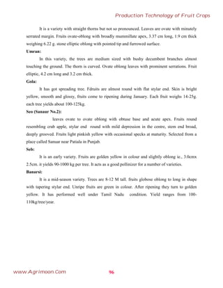 It is a variety with straight thorns but not so pronounced. Leaves are ovate with minutely
serrated margin. Fruits ovate-oblong with broadly mummillate apex, 3.37 cm long, 1.9 cm thick
weighing 6.22 g. stone elliptic oblong with pointed tip and furrowed surface.
Umran:
In this variety, the trees are medium sized with bushy decumbent branches almost
touching the ground. The thorn is curved. Ovate oblong leaves with prominent serrations. Fruit
elliptic, 4.2 cm long and 3.2 cm thick.
Gola:
It has got spreading tree. Fdruits are almost round with flat stylar end. Skin is bright
yellow, smooth and glossy, fruits come to ripening during January. Each fruit weighs 14-25g.
each tree yields about 100-125kg.
Seo (Sanaur No.2):
leaves ovate to ovate oblong with obtuse base and acute apex. Fruits round
resembling crab apple, stylar end round with mild depression in the centre, stem end broad,
deeply grooved. Fruits light pinkish yellow with occasional specks at maturity. Selected from a
place called Sanuar near Patiala in Punjab.
Seb:
It is an early variety. Fruits are golden yellow in colour and slightly oblong ie., 3.0cmx
2.5cm. it yields 90-1000 kg per tree. It acts as a good pollinizer for a number of varieties.
Banarsi:
It is a mid-season variety. Trees are 8-12 M tall. fruits globose oblong to long in shape
with tapering stylar end. Unripe fruits are green in colour. After ripening they turn to golden
yellow. It has performed well under Tamil Nadu condition. Yield ranges from 100-
110kg/tree/year.
96
Production Technology of Fruit Crops
www.Agrimoon.Com
 