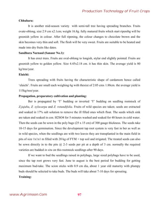 Chhuhara:
It is another mid-season variety with semi-tall tree having spreading branches. Fruits
ovate-oblong, size 2.9 cm x2.1cm; weight 16.8g. fully matured fruits which start ripenibg will be
greenish yellow in colour. After full ripening, the colour changes to chocolate brown and the
skin becomes very thin and soft. The flesh will be very sweet. Fruits are suitable to be heated and
made into dry fruits like dates.
Sandhura Narnaul (Sanaur No.1):
It has erect trees. Fruits are oval-oblong to longish, stylar end slightly pointed. Fruits are
greenish yellow to golden yellow. Size 4.45x2.18 cm. it has thin skin. The average yield is 80
kg/tree/year.
Elaichi:
Trees spreading with fruits having the characteristic shape of cardamom hence called
‘elaichi’. Fruits are small each weighing 6g with thesize of 2.05 cmx 1.88cm. the average yield is
115kg/tree/year.
Propagation, preparatory cultivation and planting:
Ber is propagated by ‘T’ budding or inverted ‘T’ budding on seedling rootstock of
Z.jujuba, Z. xylocarpa and Z. rotundifolia. Fruits of wild species are taken; seeds are extracted
and soaked in 17% salt solution to remove the ill filled ones which float. The seeds which sink
are taken and soaked in con. H2SO4 for 5 minutes washed and soaked for 48 hours in cold water.
Then the seeds can be sown in the poly bags (25 x 15 cm) of 300 gauge thickness. The seeds take
10-15 days for germination. Since the development tap root system is very fast in ber as well as
in wild species, when the seedlings are with two leaves they are transplanted in the main field in
pits of size 1x1x1 m filled with 20 kg of FYM + top soil and irrigated. The treated seeds can also
be sown directly in to the pits @ 2-3 seeds per pit at a depth of 3 cm. normally the required
varieties are budded in situ on this rootstock seedlings after 90 days.
If we want to bud the seedlings raised in polybags, large sized polybags have to be used,
since the tap root grows very fast. June to august is the best period for budding for getting
maximum bud-take. The scion sticks with 0.9 cm dia, about 1 year old maturity with plumpy
buds should be selected to take buds. The buds will take about 7-10 days for sprouting.
Training:
97
Production Technology of Fruit Crops
www.Agrimoon.Com
 