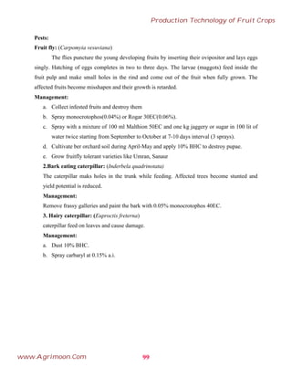 Pests:
Fruit fly: (Carpomyia vesuviana)
The flies puncture the young developing fruits by inserting their ovipositor and lays eggs
singly. Hatching of eggs completes in two to three days. The larvae (maggots) feed inside the
fruit pulp and make small holes in the rind and come out of the fruit when fully grown. The
affected fruits become misshapen and their growth is retarded.
Management:
a. Collect infested fruits and destroy them
b. Spray monocrotophos(0.04%) or Rogar 30EC(0.06%).
c. Spray with a mixture of 100 ml Malthion 50EC and one kg jaggery or sugar in 100 lit of
water twice starting from September to October at 7-10 days interval (3 sprays).
d. Cultivate ber orchard soil during April-May and apply 10% BHC to destroy pupae.
e. Grow fruitfly tolerant varieties like Umran, Sanaur
2.Bark eating caterpillar: (Inderbela quadrinotata)
The caterpillar maks holes in the trunk while feeding. Affected trees become stunted and
yield potential is reduced.
Management:
Remove frassy galleries and paint the bark with 0.05% monocrotophos 40EC.
3. Hairy caterpillar: (Euproctis freterna)
caterpillar feed on leaves and cause damage.
Management:
a. Dust 10% BHC.
b. Spray carbaryl at 0.15% a.i.
99
Production Technology of Fruit Crops
www.Agrimoon.Com
 
