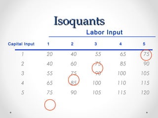Isoquants

Labor Input

Capital Input

1

2

3

4

5

1

20

40

55

65

75

2

40

60

75

85

90

3

55

75

90

100

105

4

65

85

100

110

115

5

75

90

105

115

120

 