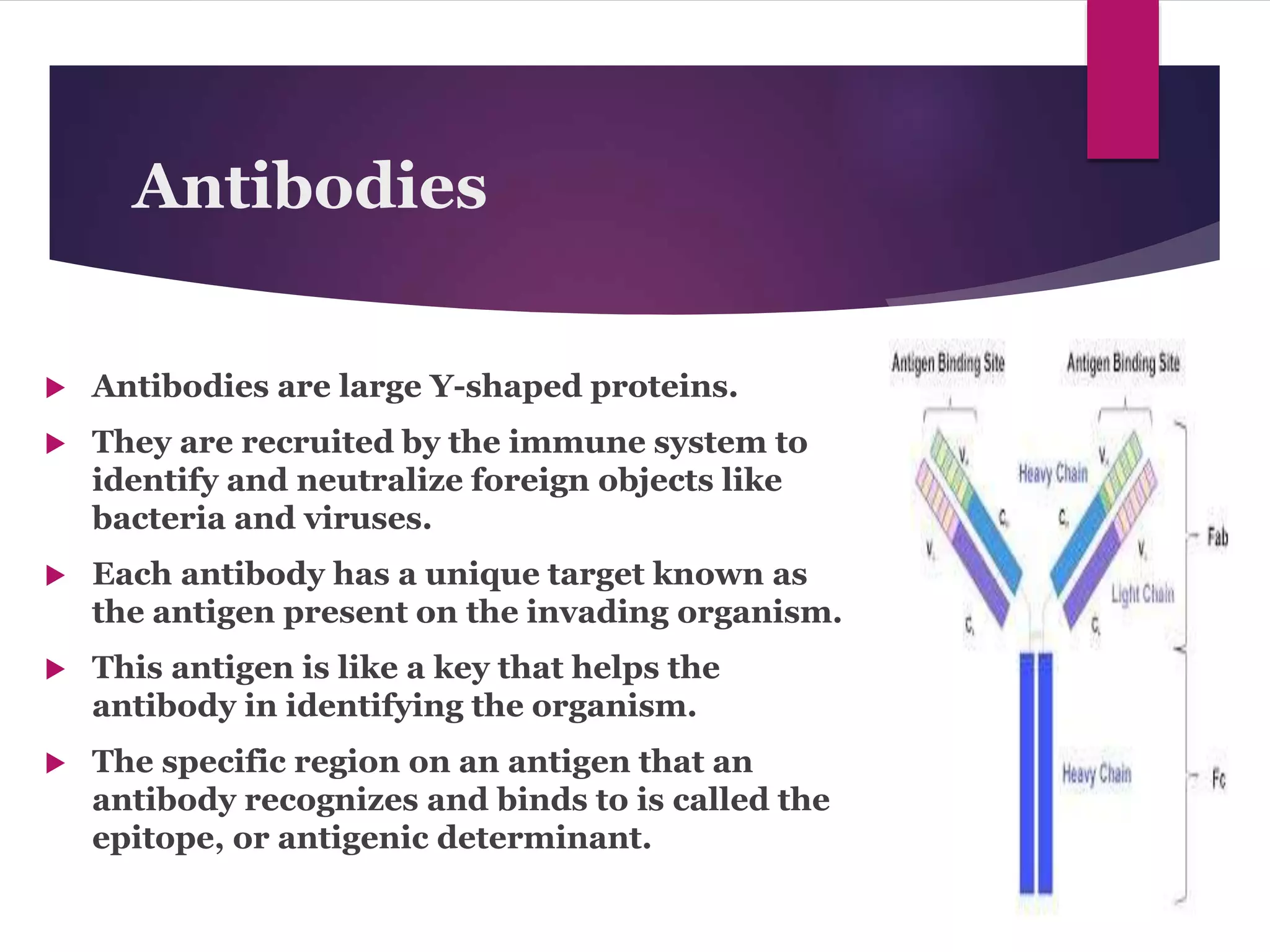 Production and applications of monoclonal antibodies | PPTX