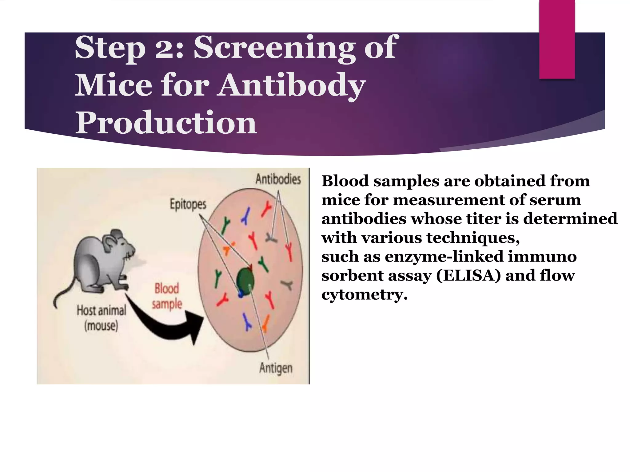 Production and applications of monoclonal antibodies | PPTX