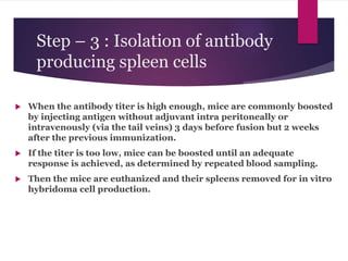 Step – 3 : Isolation of antibody
producing spleen cells
 When the antibody titer is high enough, mice are commonly boosted
by injecting antigen without adjuvant intra peritoneally or
intravenously (via the tail veins) 3 days before fusion but 2 weeks
after the previous immunization.
 If the titer is too low, mice can be boosted until an adequate
response is achieved, as determined by repeated blood sampling.
 Then the mice are euthanized and their spleens removed for in vitro
hybridoma cell production.
 