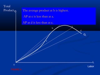 Labor
Q
QL
0
Total
Product
a
b
c
d
The average product at b is highest.
AP at c is less than at a.
AP at d is less than at c.
FIGURE 4.
L
 