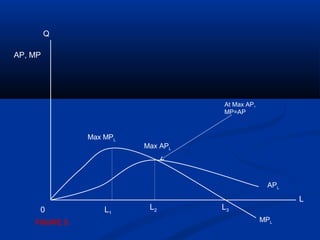 L
Q
Max APL
Max MPL
0 L1
L2 L3
MPL
APL
At Max AP,
MP=AP
FIGURE 5.
AP, MP
 