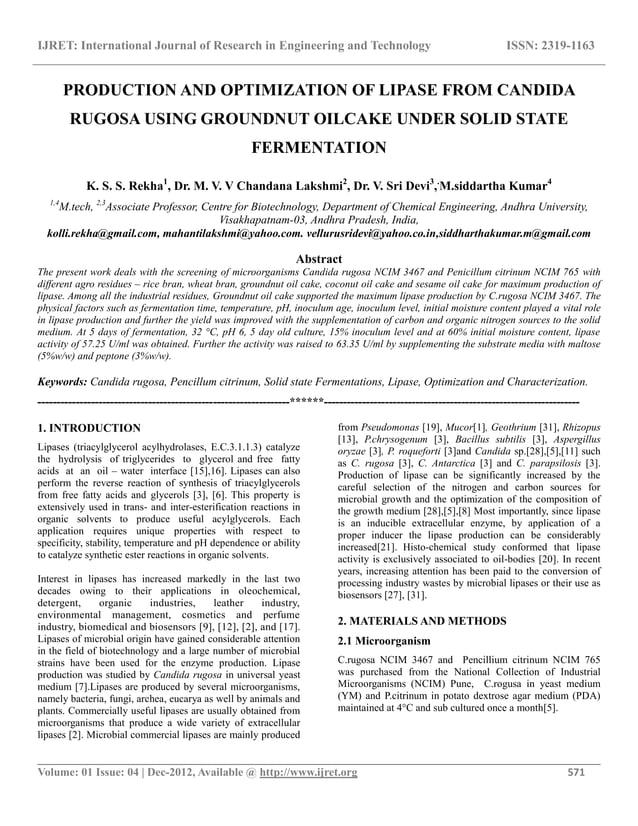 Production and optimization of lipase from candida rugosa using
