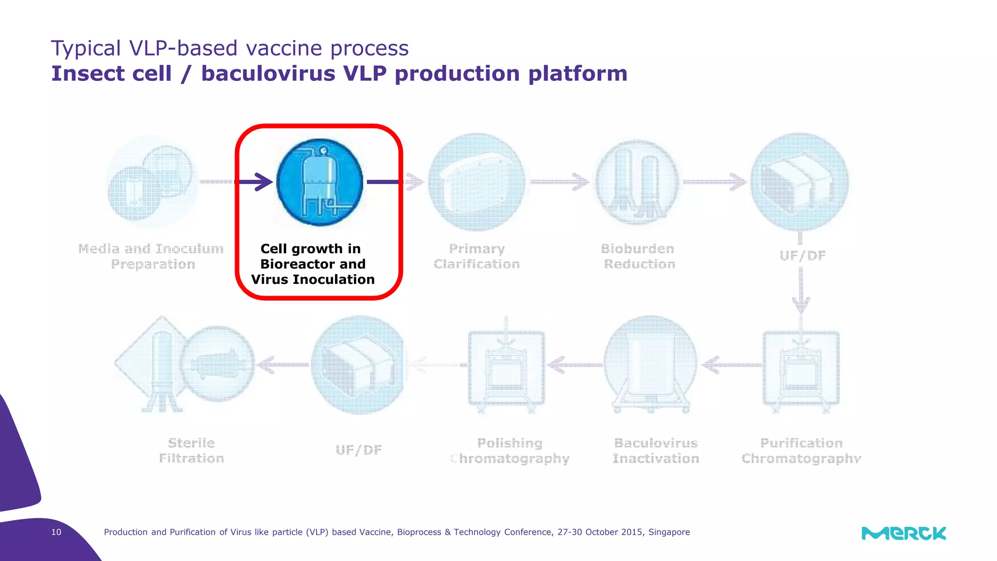Production and Purification of Virus like particle (VLP) based Vaccine, Bioprocess & Technology Conference, 27-30 October 2015, Singapore10
Typical VLP-based vaccine process
Insect cell / baculovirus VLP production platform
UF/DF
Baculovirus
Inactivation
Purification
Chromatography
Media and Inoculum
Preparation
Cell growth in
Bioreactor and
Virus Inoculation
Bioburden
Reduction
Primary
Clarification
Sterile
Filtration
Polishing
Chromatography
UF/DF
 