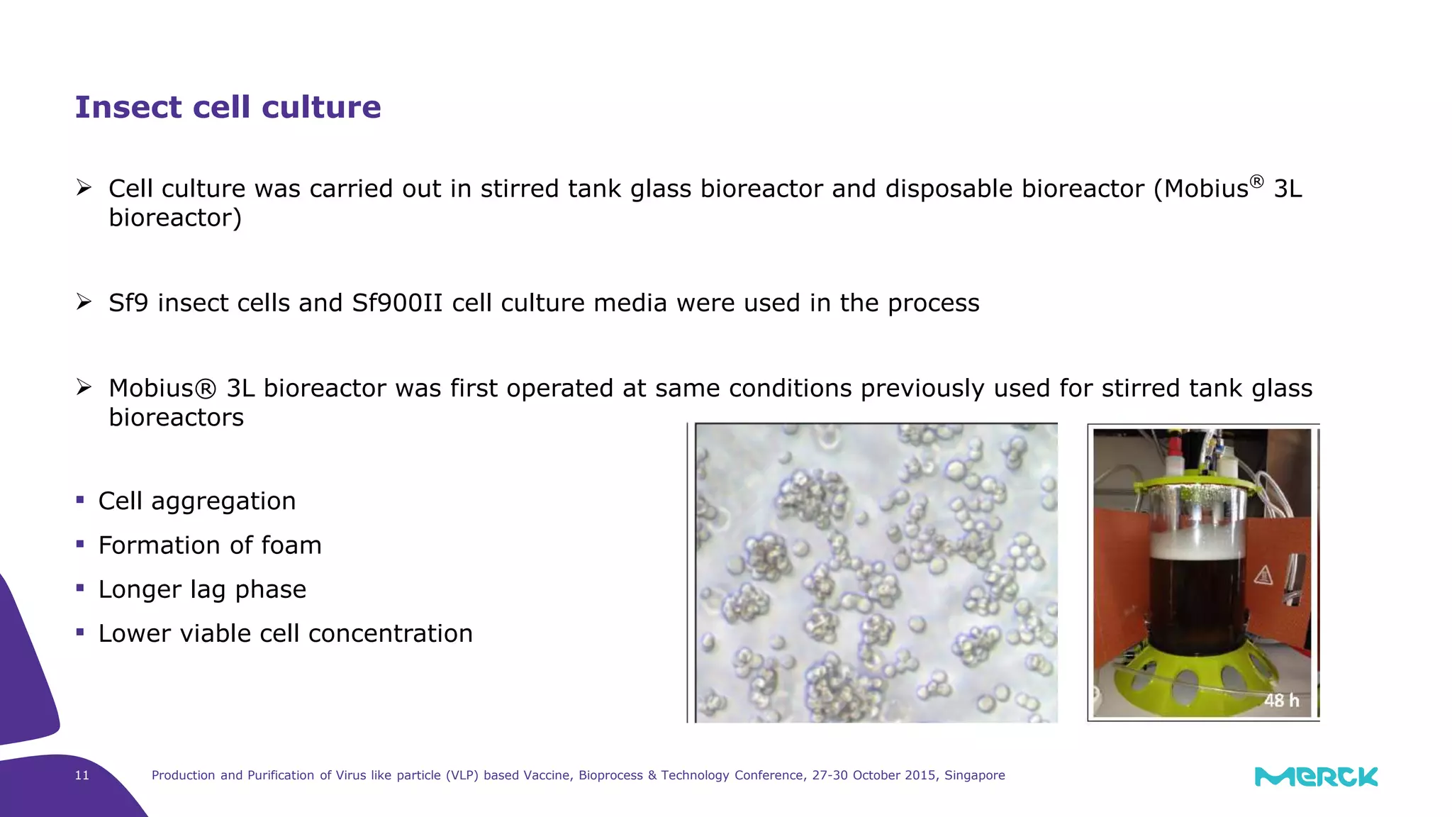 11 Production and Purification of Virus like particle (VLP) based Vaccine, Bioprocess & Technology Conference, 27-30 October 2015, Singapore
Cell culture was carried out in stirred tank glass bioreactor and disposable bioreactor (Mobius®
3L
bioreactor)
Sf9 insect cells and Sf900II cell culture media were used in the process
Mobius® 3L bioreactor was first operated at same conditions previously used for stirred tank glass
bioreactors
Cell aggregation
Formation of foam
Longer lag phase
Lower viable cell concentration
Insect cell culture
 