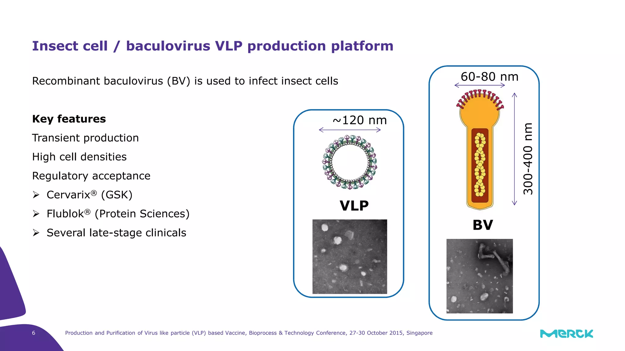 Production and Purification of Virus like particle (VLP) based Vaccine, Bioprocess & Technology Conference, 27-30 October 2015, Singapore6
Recombinant baculovirus (BV) is used to infect insect cells
Key features
Transient production
High cell densities
Regulatory acceptance
Cervarix® (GSK)
Flublok® (Protein Sciences)
Several late-stage clinicals
Insect cell / baculovirus VLP production platform
~120 nm
VLP
BV
60-80 nm
 