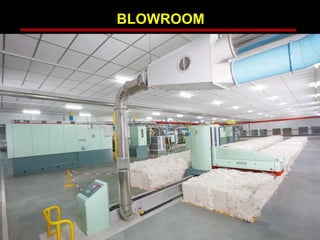 BLOWROOM
 