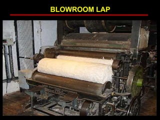 BLOWROOM LAP
 