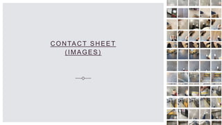CONTACT SHEET
(IMAGES)
 