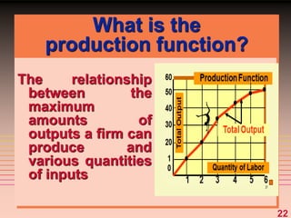 22
What is the
production function?
The relationship
between the
maximum
amounts of
outputs a firm can
produce and
various quantities
of inputs
 