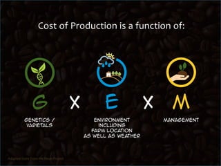  Production costs: evidence from Colombia
