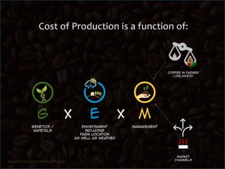  Production costs: evidence from Colombia