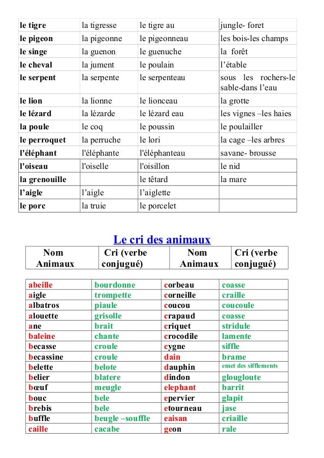 Production écrite 6eme
