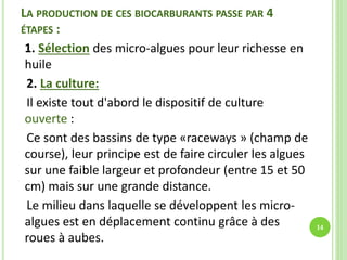 LA PRODUCTION DE CES BIOCARBURANTS PASSE PAR 4
ÉTAPES :
1. Sélection des micro-algues pour leur richesse en
huile
2. La culture:
Il existe tout d'abord le dispositif de culture
ouverte :
Ce sont des bassins de type «raceways » (champ de
course), leur principe est de faire circuler les algues
sur une faible largeur et profondeur (entre 15 et 50
cm) mais sur une grande distance.
Le milieu dans laquelle se développent les micro-
algues est en déplacement continu grâce à des
roues à aubes.
14
 