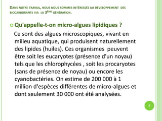 DANS NOTRE TRAVAIL, NOUS NOUS SOMMES INTÉRESSÉS AU DÉVELOPPEMENT DES
BIOCARBURANTS VIA LA 3ÈME GÉNÉRATION.
 Qu'appelle-t-on micro-algues lipidiques ?
Ce sont des algues microscopiques, vivant en
milieu aquatique, qui produisent naturellement
des lipides (huiles). Ces organismes peuvent
être soit les eucaryotes (présence d'un noyau)
tels que les chlorophycées , soit les procaryotes
(sans de présence de noyau) ou encore les
cyanobactéries. On estime de 200 000 à 1
million d'espèces différentes de micro-algues et
dont seulement 30 000 ont été analysées.
5
 