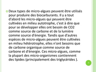  Deux types de micro-algues peuvent être utilisés
pour produire des biocarburants. Il y a tout
d'abord les micro-algues qui peuvent être
cultivées en milieu autotrophe, c'est à dire que
pour se développer elles ont besoin de CO2
comme source de carbone et de la lumière
comme source d'énergie. Tandis que d'autres
espèces de micro-algues peuvent être cultivées
en milieu hétérotrophe, elles n'ont besoins que
de carbone organique comme source de
carbone et d'énergie. Ces micro-algues, comme
la plupart des micro-organismes contiennent
des lipides (principalement des triglycérides ).
7
 