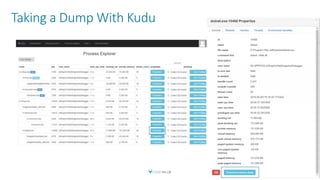 Taking a Dump With Kudu
 