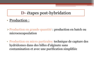 • Production :
Production en grande quantité : production en batch ou
microencapsulation
• Production en micro particules...