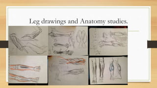 Leg drawings and Anatomy studies.
 