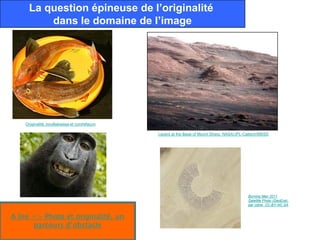 La question épineuse de l’originalité
         dans le domaine de l’image




    Originalité, bouillabaisse et contrefaçon

                                                Layers at the Base of Mount Sharp. NASA/JPL-Caltech/MSSS




                                                                                             Burning Man 2011
                                                                                             Satellite Photo (GeoEye).
                                                                                             par cdine. CC-BY-NC-SA


A lire => Photo et originalité, un
       parcours d’obstacle
 