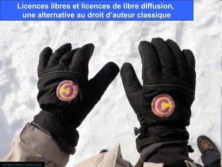 Licences libres et licences de libre diffusion,
             une alternative au droit d’auteur classique




Par Randy Safaran. Domaine public
 