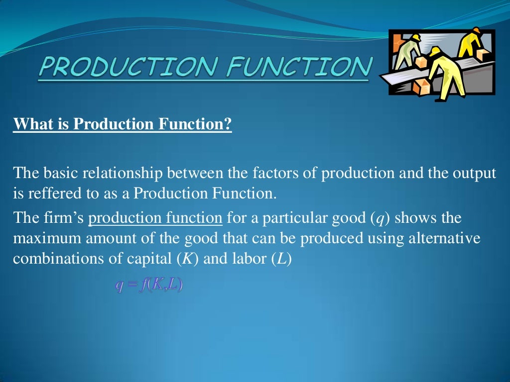 Production function