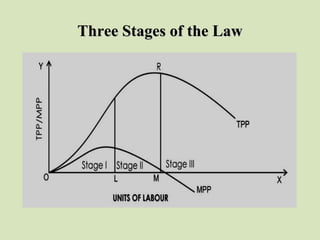 Three Stages of the LawThree Stages of the Law
 