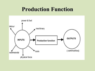 Production FunctionProduction Function
 