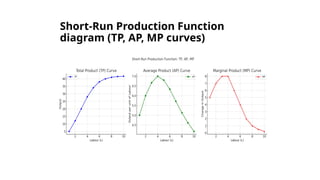 Comprehensive Analysis of Production Functions and Profit Maximization ...
