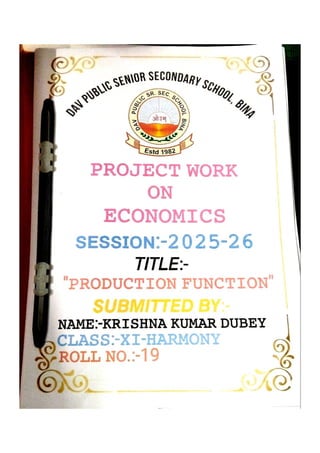 PRODUCTION FUNCTION Class 11th Project File.PDF