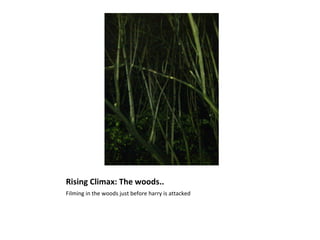 Rising Climax: The woods..
Filming in the woods just before harry is attacked
 