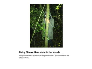 Rising Climax: Hermoinie in the woods
The producer here is demonstrating Hermoinie’s position before she
attacks Harry.
 