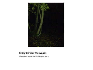 Rising Climax: The woods
The woods where the attack takes place
 