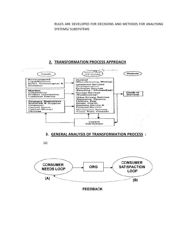 Management term paper
