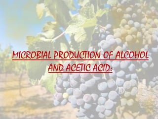 MICROBIAL PRODUCTION OF ALCOHOL
AND ACETIC ACID:
 