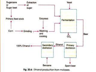 Production of acetic acid and ethanol | PDF