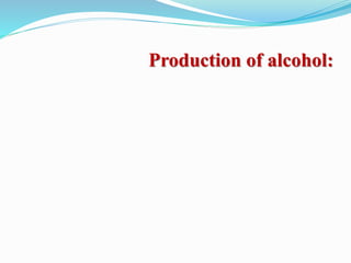 Production of alcohol:
 